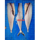 Fish Filleting Machine